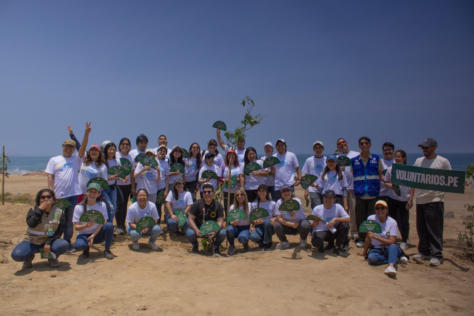 Arborizaci&oacute;n &middot; Voluntarios.pe y BanBif